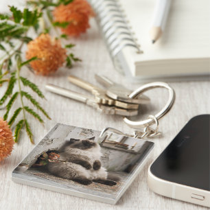 Porte-clefs Chat himalayen et Pixie Réveil Surprise