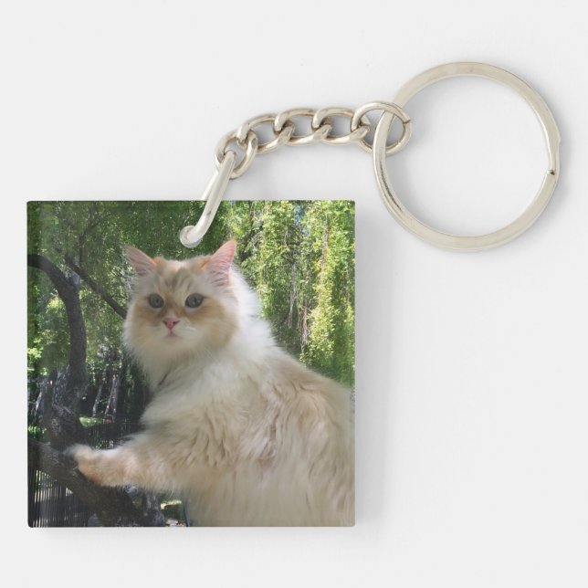 Porte-clefs Chat sibérien de forêt (le double a dégrossi) (Dos)