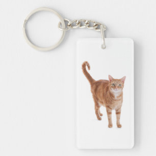 Porte-clefs Chat Tabby Orange