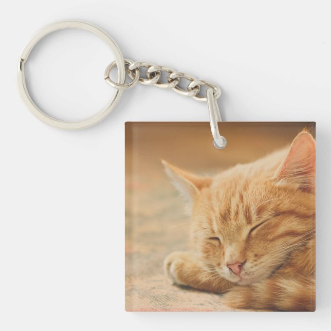 Porte-clefs Chat tigré orange de sommeil (Devant)