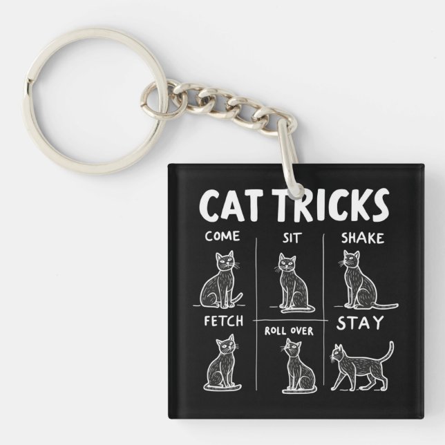 Porte-clefs Chat Tricks Purr-Fparfaitement Hilarious Feline Fu (Devant)