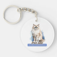 Chat Witty "Pet Me ou Face Conséquences"