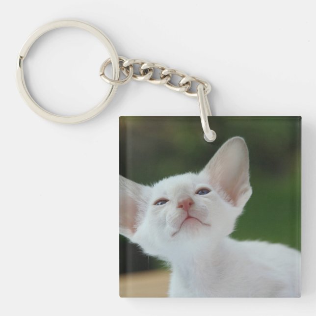 Porte-clefs Chaton siamois blanc (Devant)