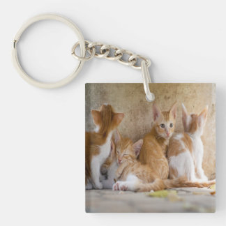 Porte-clefs Chaton tigré orange et blanc/Ajoutez la photo de v