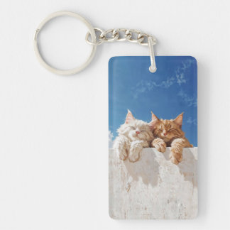 Porte-clefs Chats mignons