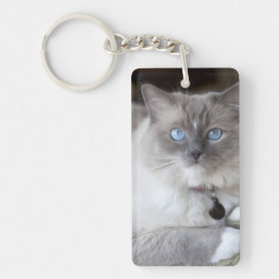 Porte-clefs Chatte Ragdoll