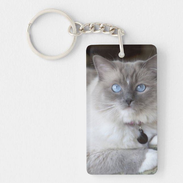 Porte-clefs Chatte Ragdoll (Devant)
