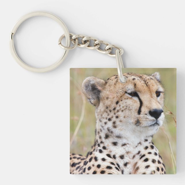 Porte-clefs Cheetah (Devant)