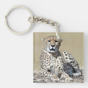 Porte-clefs Cheetah au Masai Mara au Kenya photo