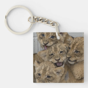 Porte-clefs Cheetah Cubs Jouer