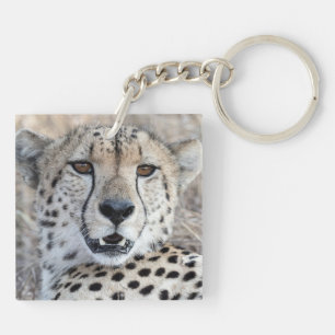 Porte-clefs Cheetah Portrait