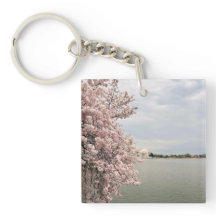 Cherry Blossoms at the Tidal Basin