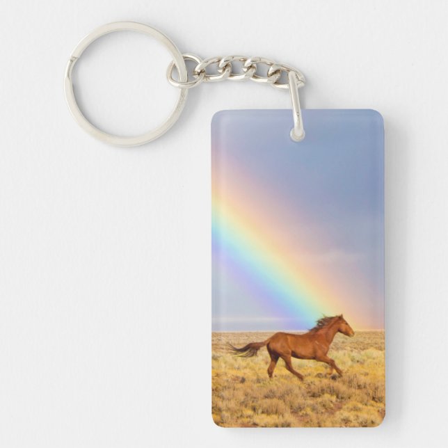 Porte-clefs Cheval Mustang sauvage et arc-en-ciel (Devant)