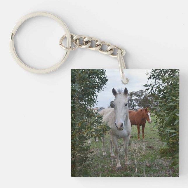 Porte-clefs Chevaux Peekaboo Brown Et Blancs, - (Devant)