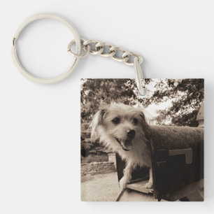 Porte-clefs Chien à l'intérieur d'une boîte aux lettres