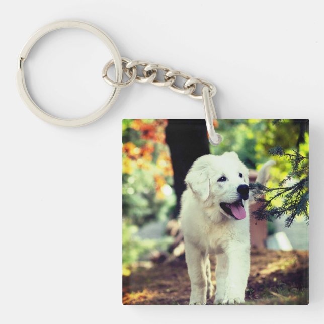 Porte-clefs Chien, Animal de compagnie, Canine (Devant)