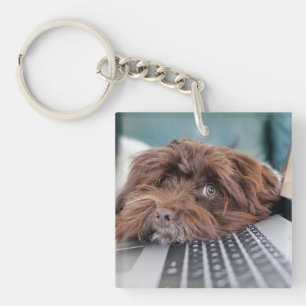 Porte-clefs Chien, Animal de compagnie, confinement
