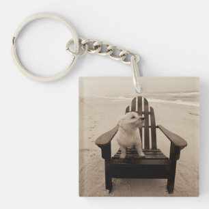 Porte-clefs Chien appréciant la plage