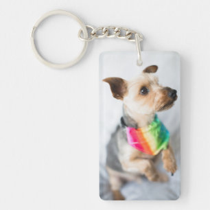 Porte-clefs Chien arc-en-ciel Gay pride Yorkshire Terrier