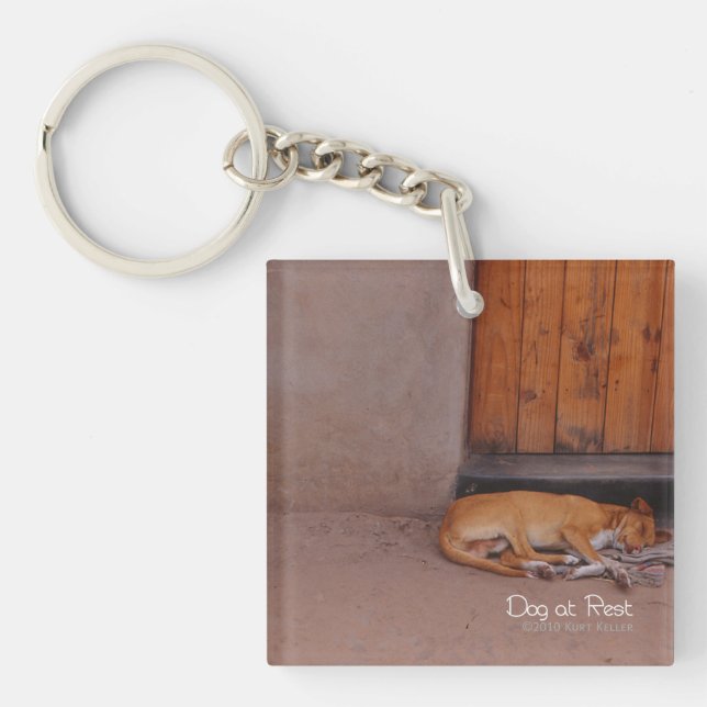 Porte-clefs Chien au repos (Devant)
