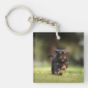 Porte-clefs Chien, Chien, Chiot, Cavalier