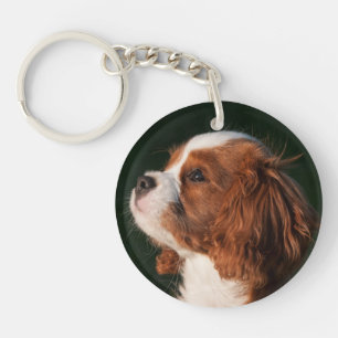 Porte-clefs Chien coquelicot de Blenheim Cavalier