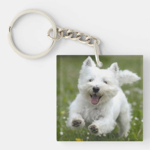 Porte-clefs Chien de cadeau de porte - clé de 2 photos