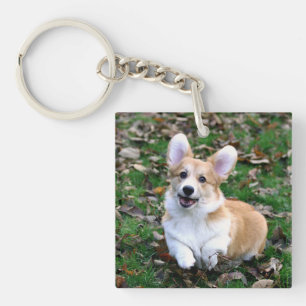 Porte-clefs Chien de Corgi mignon qui bondit