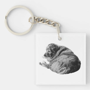 Porte-clefs Chien de repos ombragé inspire des voyages d'hiver