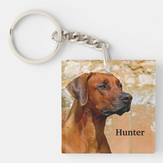 Porte-clefs Chien de Rhodesian Ridgeback (Devant)