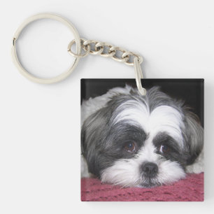Porte-clefs Chien de Shih Tzu