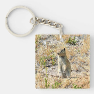 Porte-clefs Chien des Prairies en Yosemite, Californie