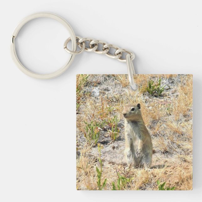 Porte-clefs Chien des Prairies en Yosemite, Californie (Devant)