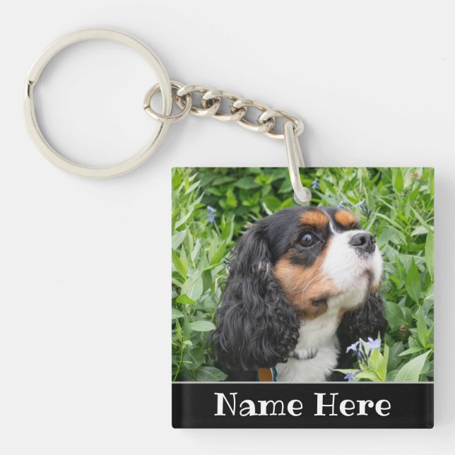 Porte-clefs Chien d'Espagne du roi Charles Cavalier (Devant)