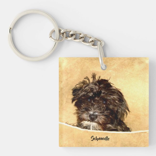 Porte-clefs Chien Schnoodle (Devant)