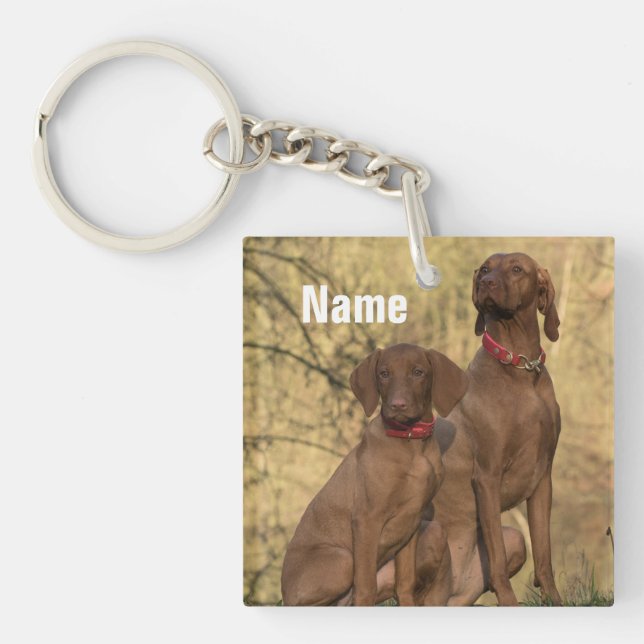 Porte-clefs Chiens de la cage de Vizsla personnalisés (Devant)