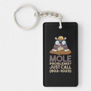 Porte-clefs Chimie - Problèmes de mole