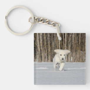 Porte-clefs Chiot blanc Golden Retriever en neige