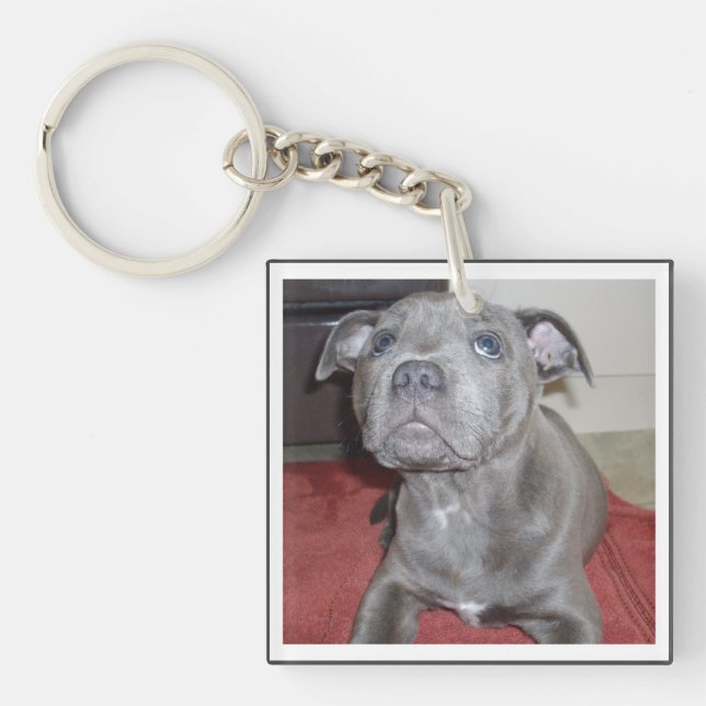 Porte-clefs Chiot bleu Sooky Staffordshire Bull Terrier (Devant)