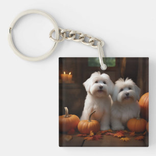 Porte-clefs Chiot Coton De Tulear Délice d'Automne Citrouille 