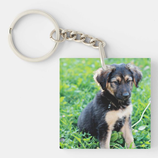 Porte-clefs Chiot de berger allemand (Devant)