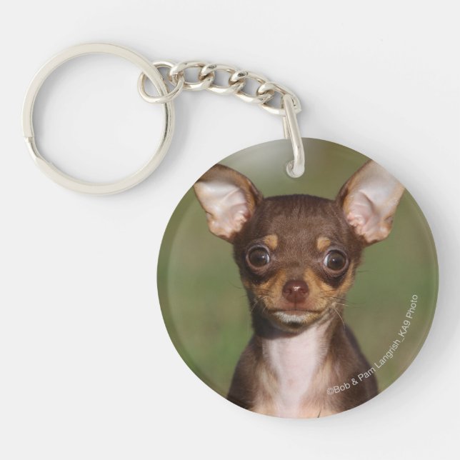 Porte-clefs Chiot de chiwawa regardant l'appareil-photo (Devant)