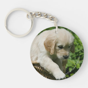 Porte-clefs Chiot de golden retriever dans le panier