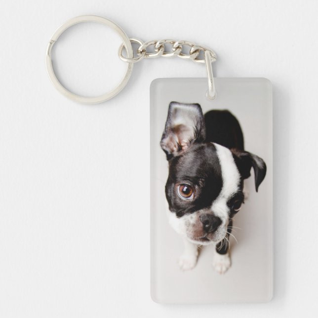 Porte-clefs Chiot d'Edison Boston Terrier (Devant)