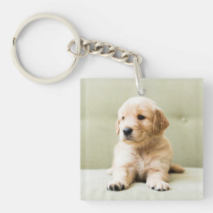 Porte-clefs Chiot d'or sur un canapé