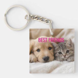 Porte-clefs Chiot endormi et chaton câlins