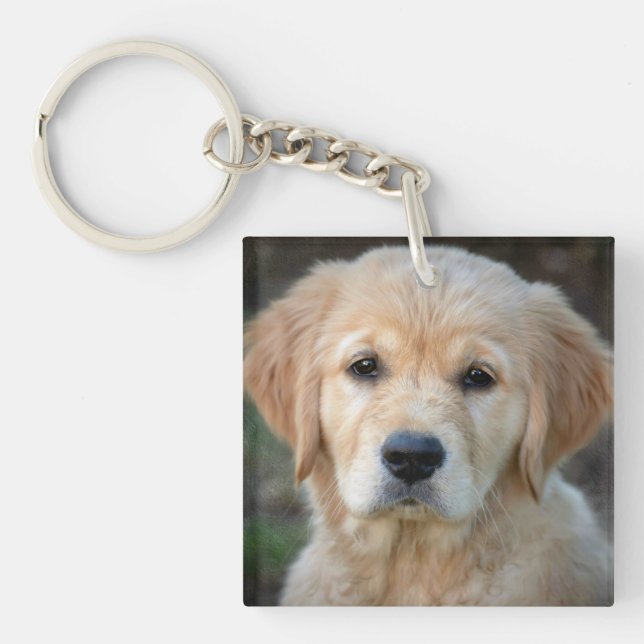Porte-clefs Chiot Golden Retriever (Devant)