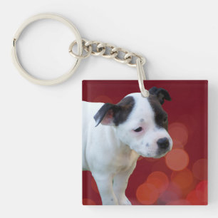 Porte-clefs Chiot Noir Et Blanc,