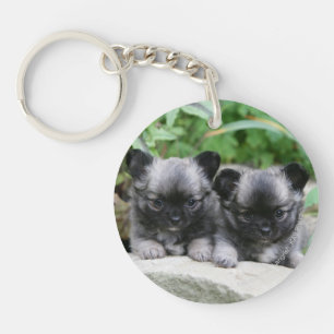 Porte-clefs Chiots aux cheveux longs de chiwawa
