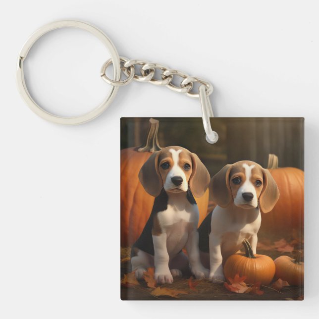Porte-clefs Chiots Beagle Autumn Delight Citrouille (Devant)